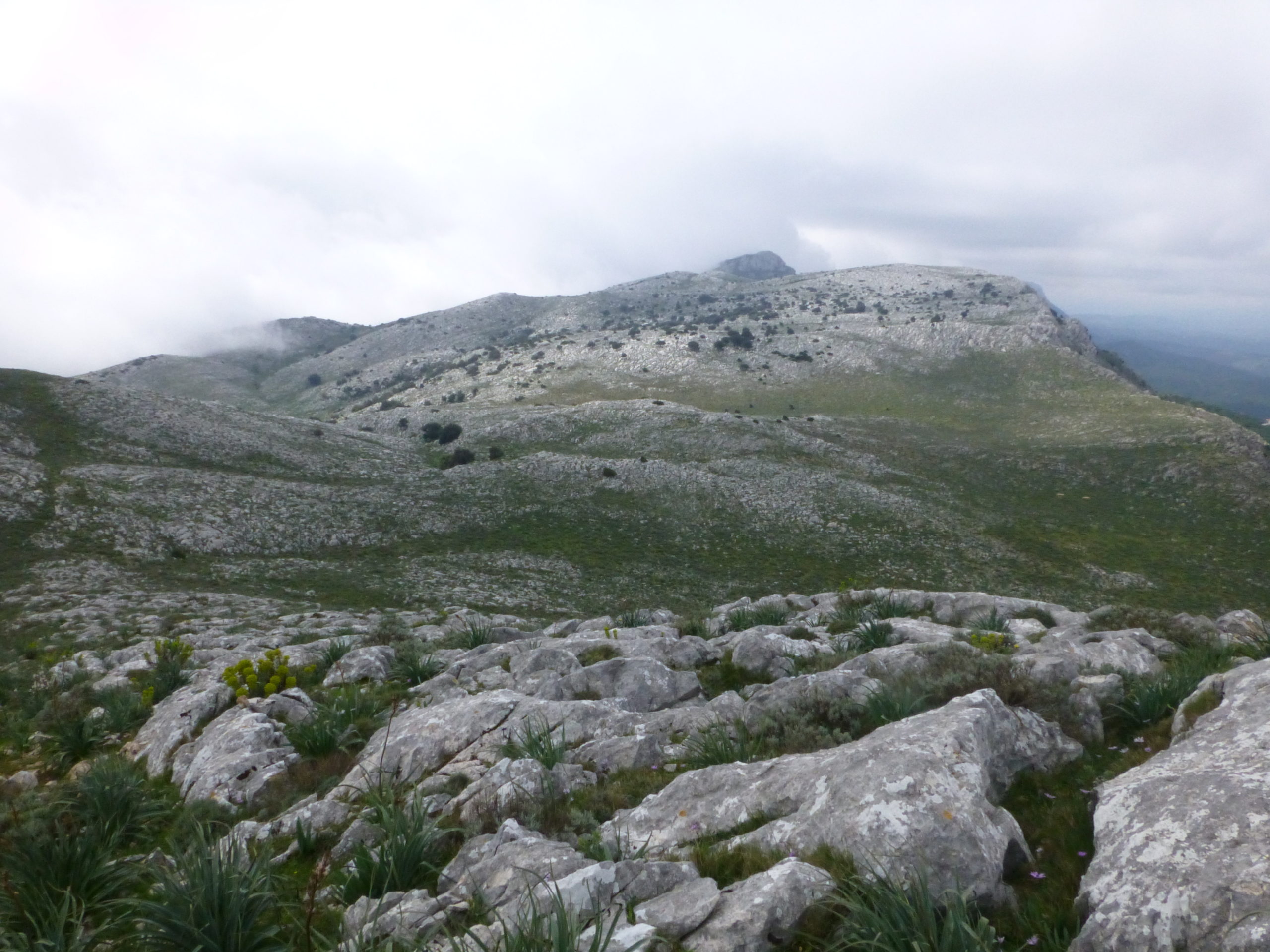 Siniscola . Montalbo Sas Venas